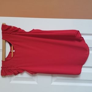 Ann Taylor ruffle sleeve silky top